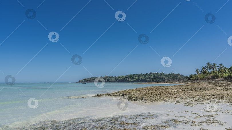 Скачать Тропический морской пейзаж. Отлив. Обнажилось скалистое морское дно. фотосток Ozero