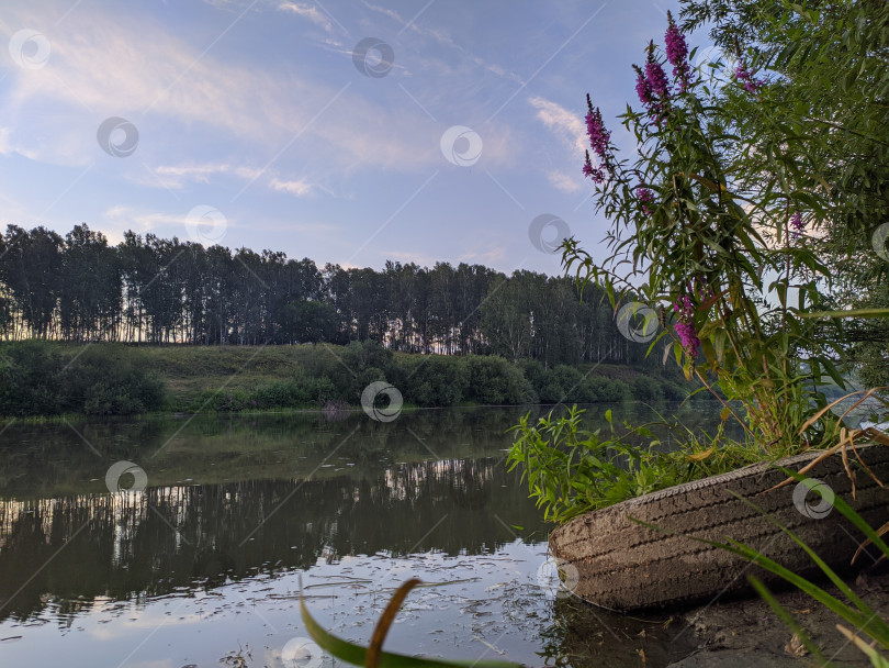 Скачать Зеленая Пленница фотосток Ozero