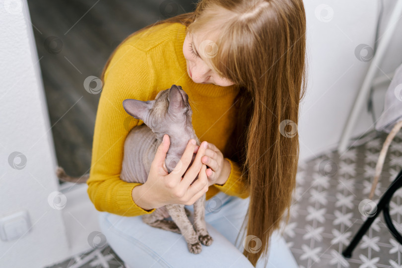Скачать Кошка и женщина смотрят друг на друга. Заботимся о серой кошечке. Любовь и веселье. Отцовство фотосток Ozero