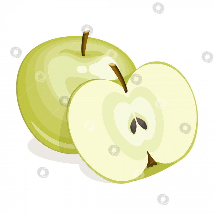 Скачать Зеленое яблоко с долькой, выделенной на белом фоне. Векторная иллюстрация фотосток Ozero