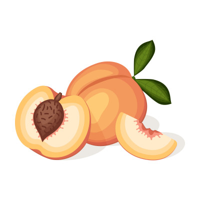 [object Object] undefined