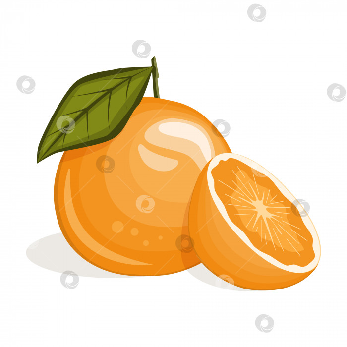 Скачать Сочный апельсин, выделенный на белом фоне. Векторная иллюстрация фотосток Ozero