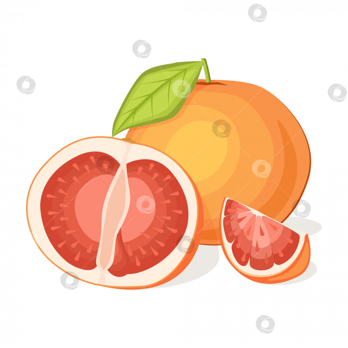 Скачать Сочный свежий грейпфрут, выделенный на белом фоне. Тропические фрукты.Векторная иллюстрация фотосток Ozero