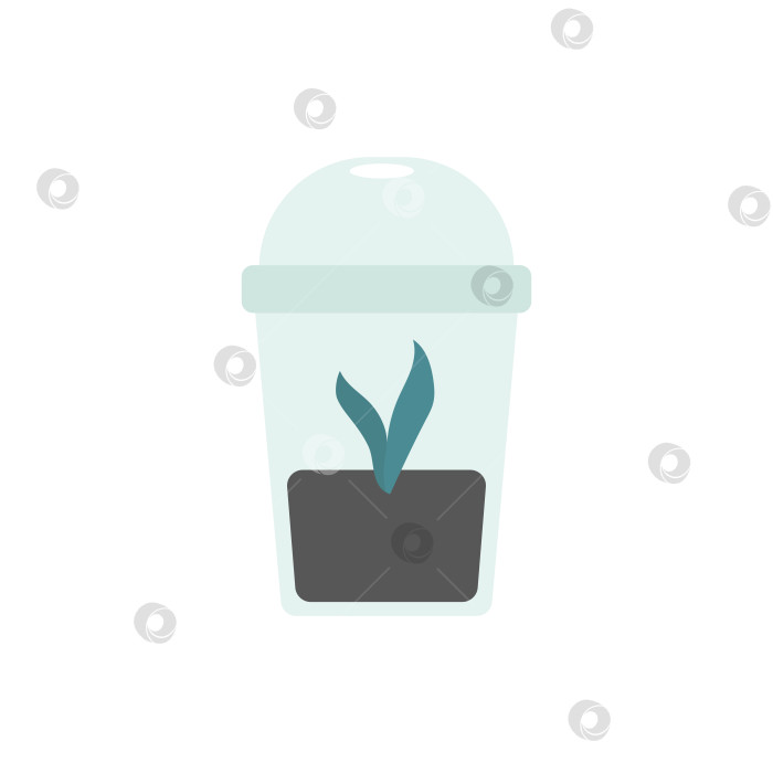 Скачать Векторная изолированная иллюстрация с плоским пластиковым теплым зеленым домиком для выращивания ростков растений из семян. Уютное хобби - забота об окружающей среде. Концепция с новыми листьями в прозрачной чашке фотосток Ozero