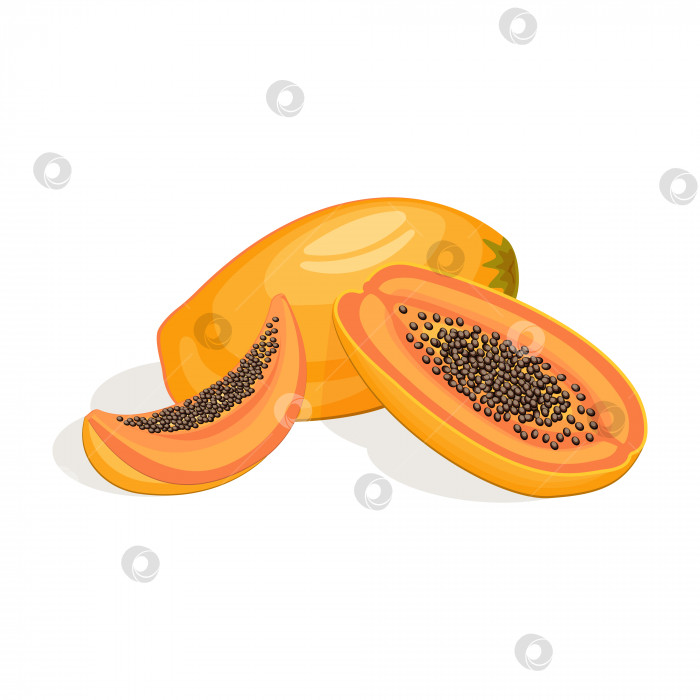 Скачать Сочная свежая папайя, выделенная на белом фоне. Тропические фрукты.Векторная иллюстрация фотосток Ozero