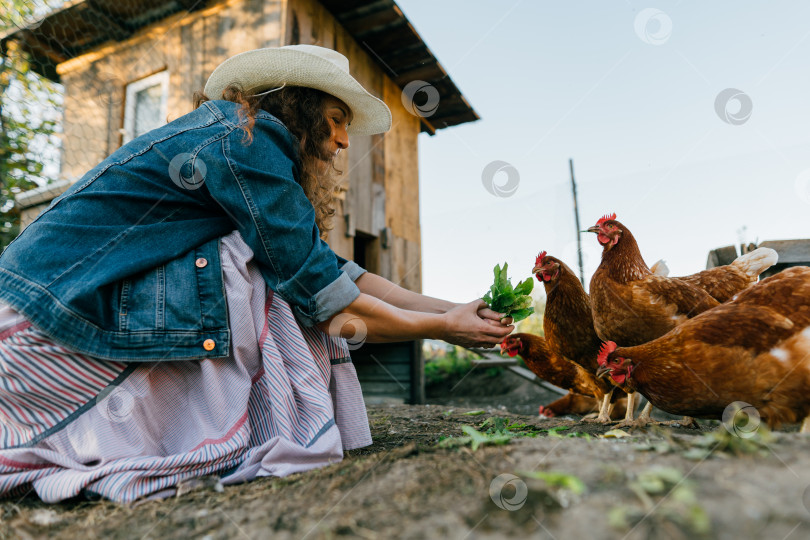 Скачать Улыбающаяся женщина-фермер кормит зеленью кур на свободном выгуле на солнечной ферме фотосток Ozero