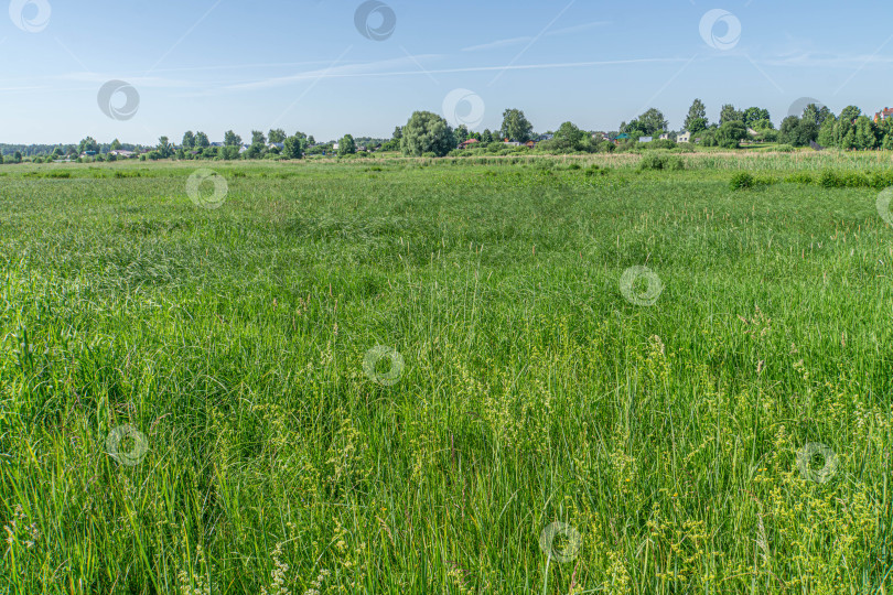 Скачать Дикий луг и голубое небо фотосток Ozero