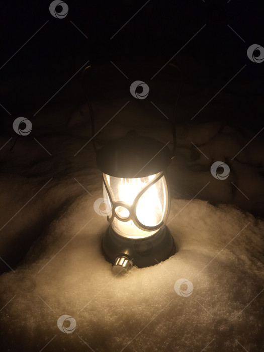 Скачать Лампа летучая мышь в зимнем лесу фотосток Ozero
