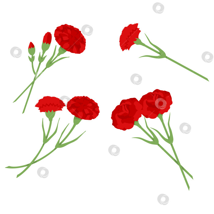 Скачать Красная гвоздика для декора открытки на День Победы 9 мая фотосток Ozero