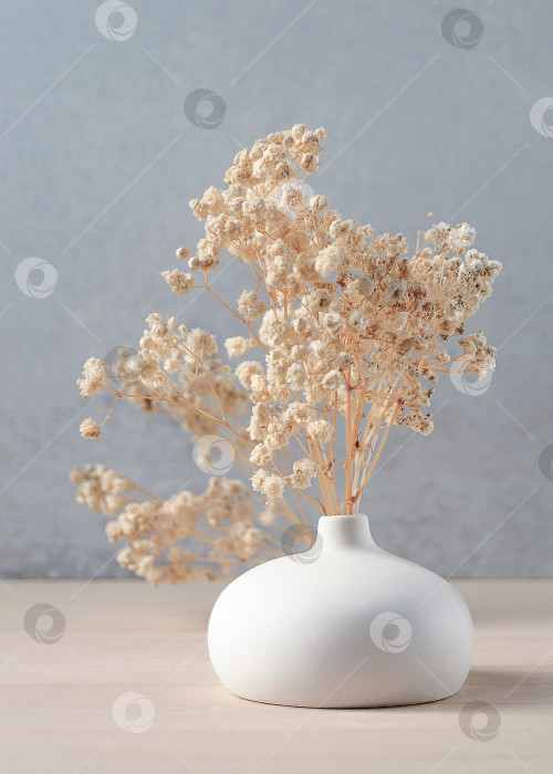 Скачать Сухоцветы в белой вазе на деревянном столе на фоне светло-серой стены, открытка, нежность, дневной свет, место для текста. фотосток Ozero