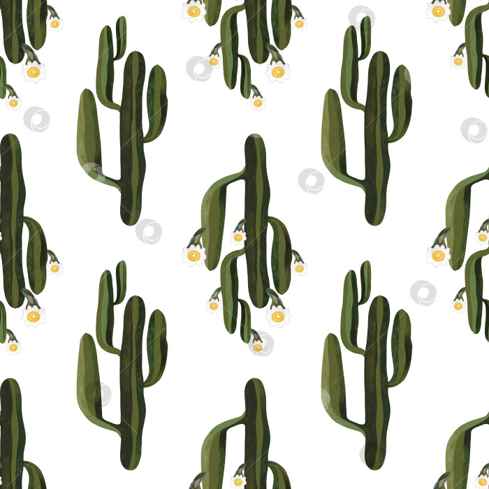 Скачать Цветущий кактус сагуаро. Бесшовный акварельный рисунок для оберточной бумаги, обоев и текстиля. фотосток Ozero
