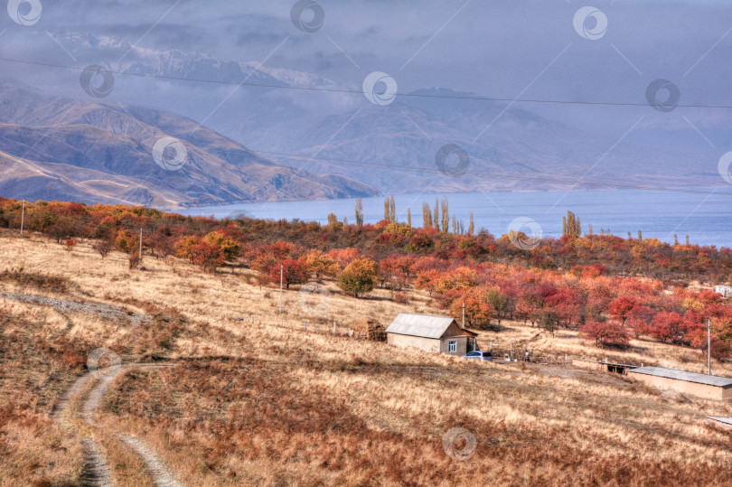 Скачать Река Чычкан, осень, Кыргызстан, в фокусе на переднем плане фотосток Ozero