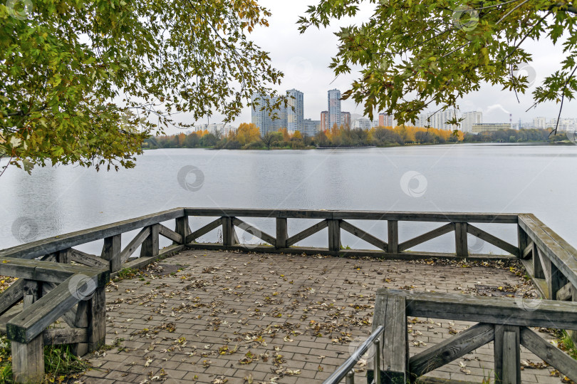 Скачать На площадке много листьев фотосток Ozero