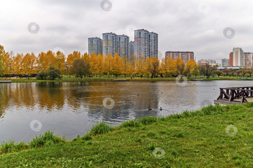 Скачать Октябрь на пруду фотосток Ozero