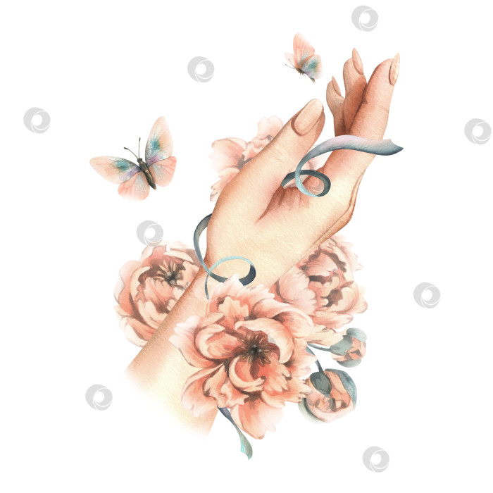Скачать Красивые пионы цвета персикового пуха с листьями и порхающими бабочками в женских руках. Иллюстрация выполнена акварелью от руки. Композиция выделена на фоне фотосток Ozero