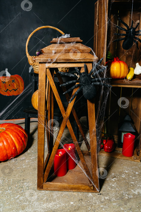 Скачать Декор на Хэллоуин с пауками и фонарем фотосток Ozero