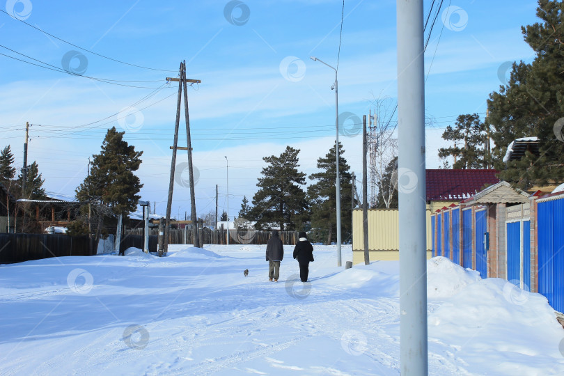 Скачать Подростки и кот гуляют по улицам фотосток Ozero