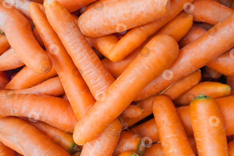 Скачать Груда моркови в супермаркете в качестве фона фотосток Ozero