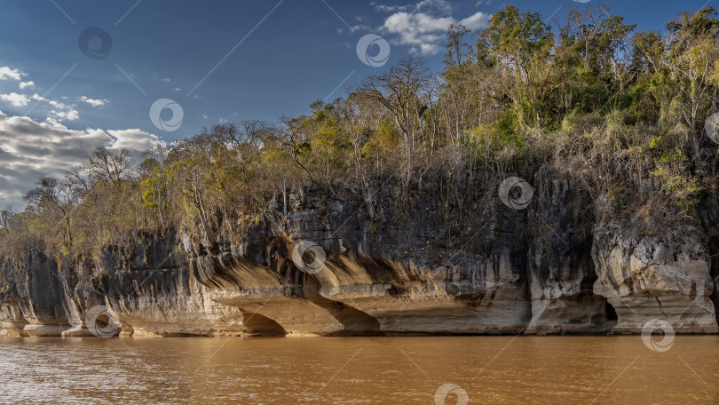 Скачать Спокойная красно-коричневая африканская река. фотосток Ozero