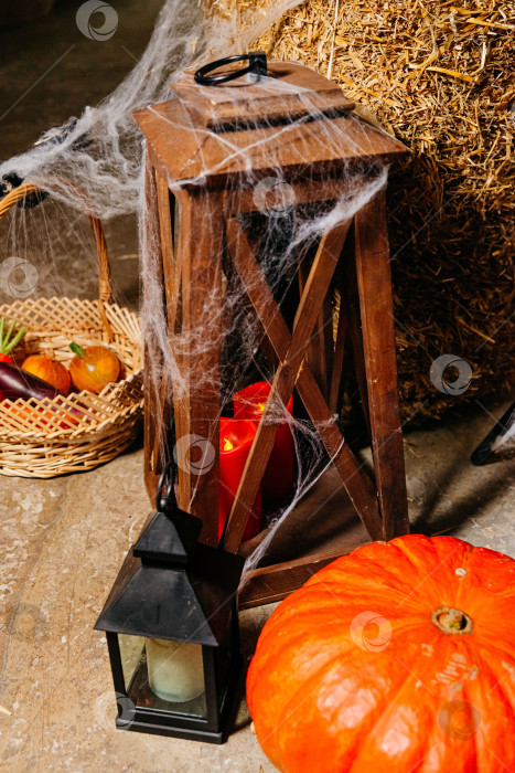 Скачать Декор на Хэллоуин с тыквой и паутиной фотосток Ozero