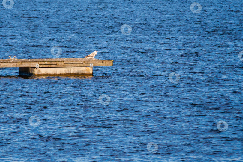 Скачать Пирс на фоне воды (абстракция, фон) фотосток Ozero