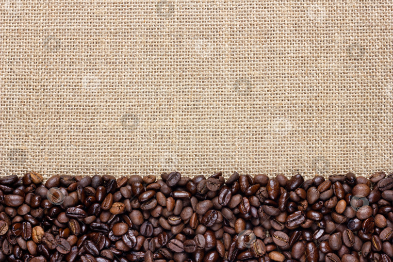 Скачать Кофейные зерна на фоне мешковины. Дизайн бордюра. фотосток Ozero
