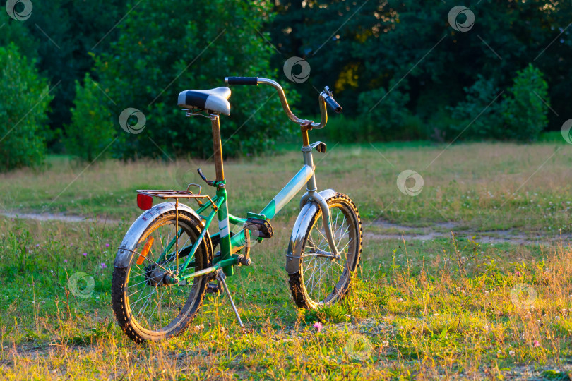 Скачать велосипед стоит на лужайке, освещенной солнцем, на фоне деревьев фотосток Ozero