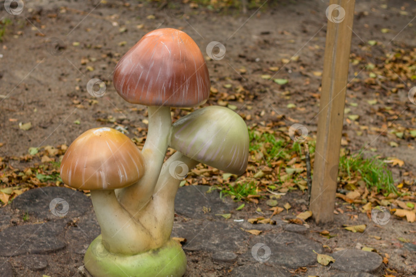 Скачать статуя гриба в парке, гриб растет в саду. фотосток Ozero