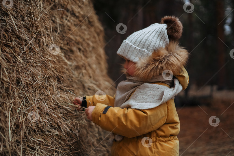 Скачать ребенок у стога сена фотосток Ozero