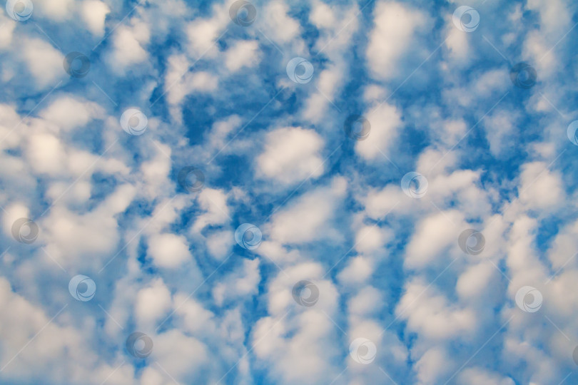 Скачать Перисто-кучевые облака (фон, текстура) фотосток Ozero