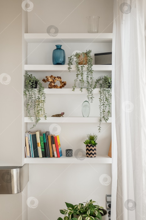 Скачать Белые книжные полки с комнатными растениями и предметами декора фотосток Ozero