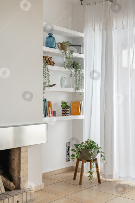 Скачать Стеллаж с комнатными растениями и другими предметами в гостиной фотосток Ozero