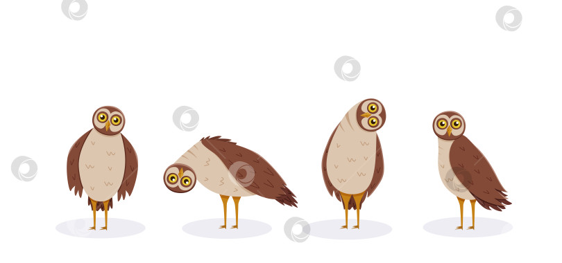 Скачать Набор милых забавных сов с наклоненной головой. Векторная иллюстрация с изображением лесных ночных птиц из мультфильма. фотосток Ozero