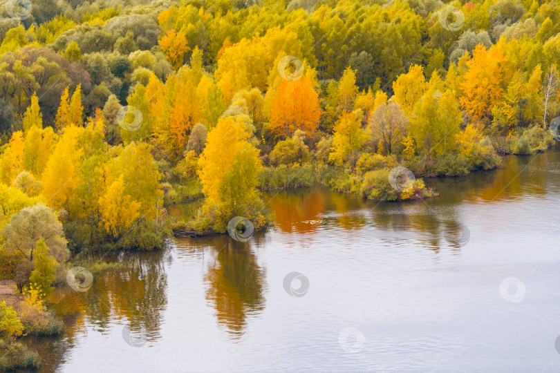 Скачать Осенние деревья на берегу реки, вид сверху фотосток Ozero