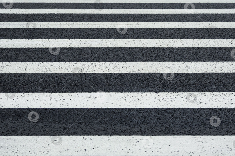 Скачать Перспективный вид белой разметки линий пешеходного перехода на асфальтированной дороге (задний план) фотосток Ozero