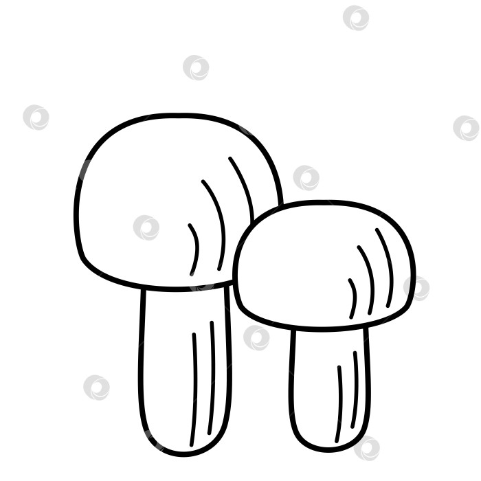 Скачать Векторные иконки грибов в стиле каракули. Иллюстрация шампиньонов, контур выделен белым цветом. фотосток Ozero