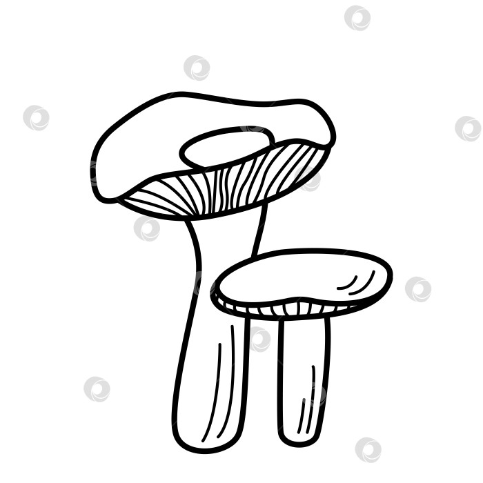 Скачать Векторные иконки грибов в стиле каракули. Иллюстрация сыроежки, контур выделен белым цветом. фотосток Ozero