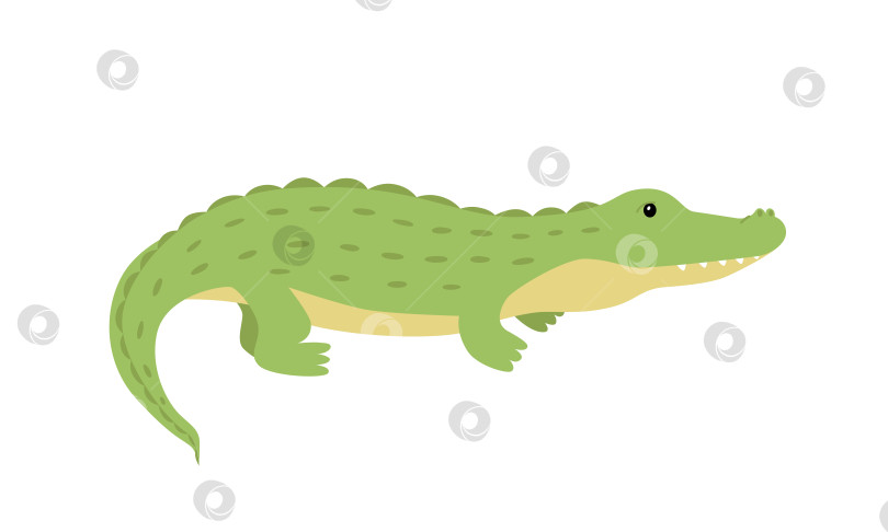 Скачать Крокодил - милый мультяшный аллигатор. Векторная иллюстрация африканского хищного животного, выделенного на белом фоне. фотосток Ozero