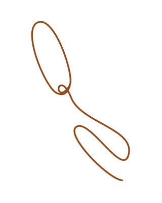 [object Object] undefined