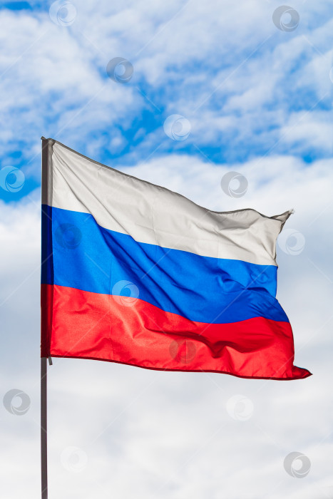 Скачать Флаг Российской Федерации развевается на ветру на фоне голубого неба и облаков фотосток Ozero