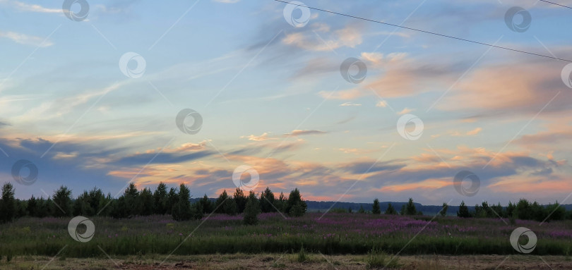 Скачать Летний закат в поле с иванчаем фотосток Ozero