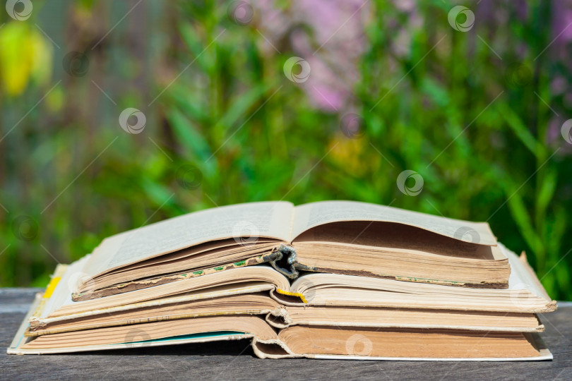 Скачать стопка книг лежит на деревянном столе на фоне природы фотосток Ozero