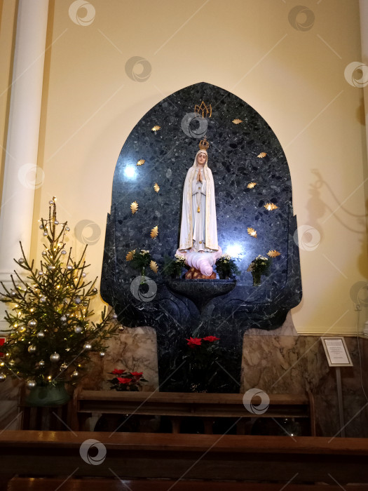 Скачать Статуя Девы Марии в католическом соборе Непорочного зачатия Девы Марии фотосток Ozero