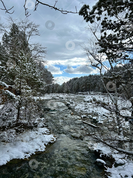 Скачать Ручей в лесу фотосток Ozero