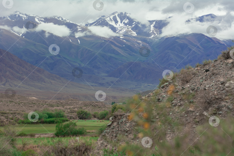 Скачать альпийские поля, Сон-Куль, Кыргызстан фотосток Ozero