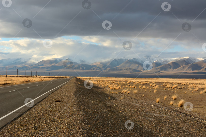 Скачать Панорамный снимок гладкой асфальтированной дороги, идущей вдоль линии электропередач по живописной осенней степи к заснеженным горам. фотосток Ozero