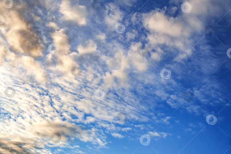 Скачать Перистые и кучевые облака на ярко-голубом небе в качестве фона, текстуры фотосток Ozero
