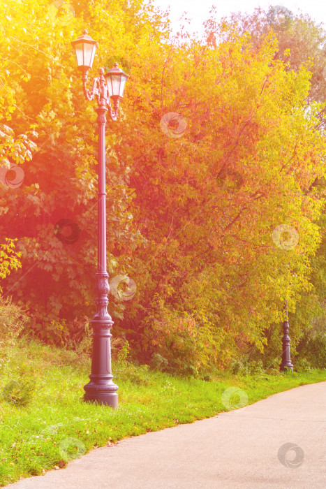 Скачать Красивый старинный фонарный столб в парке, освещенный солнечным светом (тонированный) фотосток Ozero