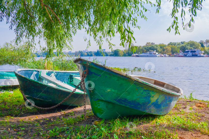 Скачать Две старые деревянные лодки на берегу на фоне зеленых деревьев фотосток Ozero