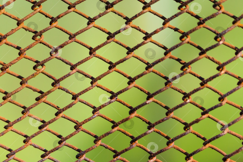 Скачать Металлическая ржавая сетка на нейтрально-зеленом фоне фотосток Ozero